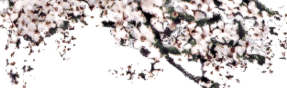 hegg