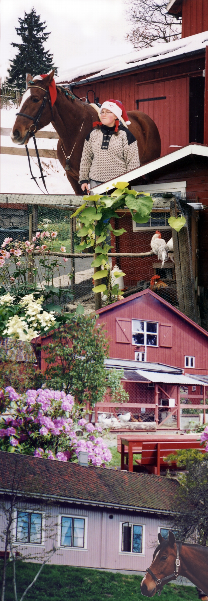 Årvoll gård collage